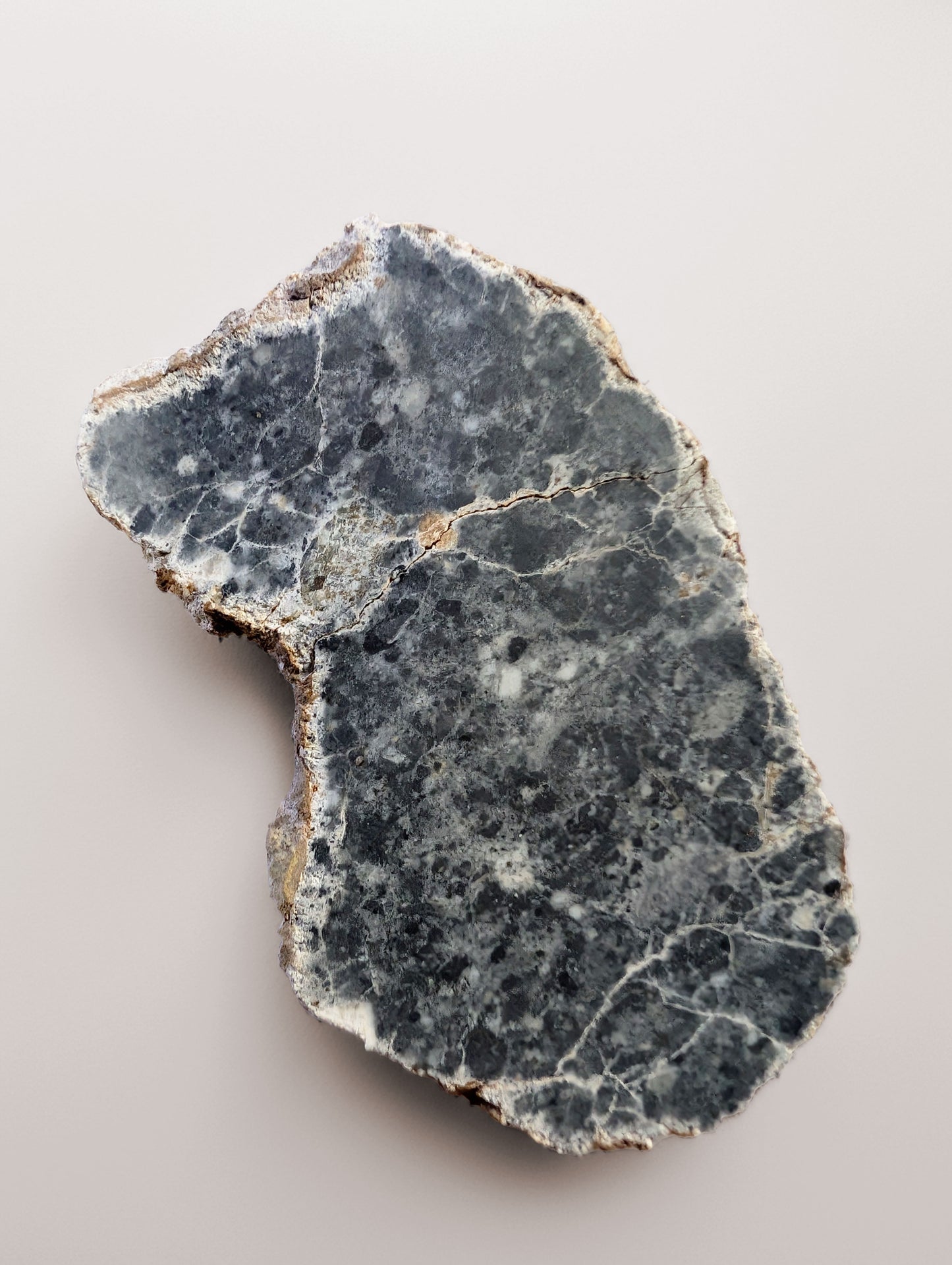 NWA 15018 Lunar meteorite slice (5.86g) - Official feldspathic breccia