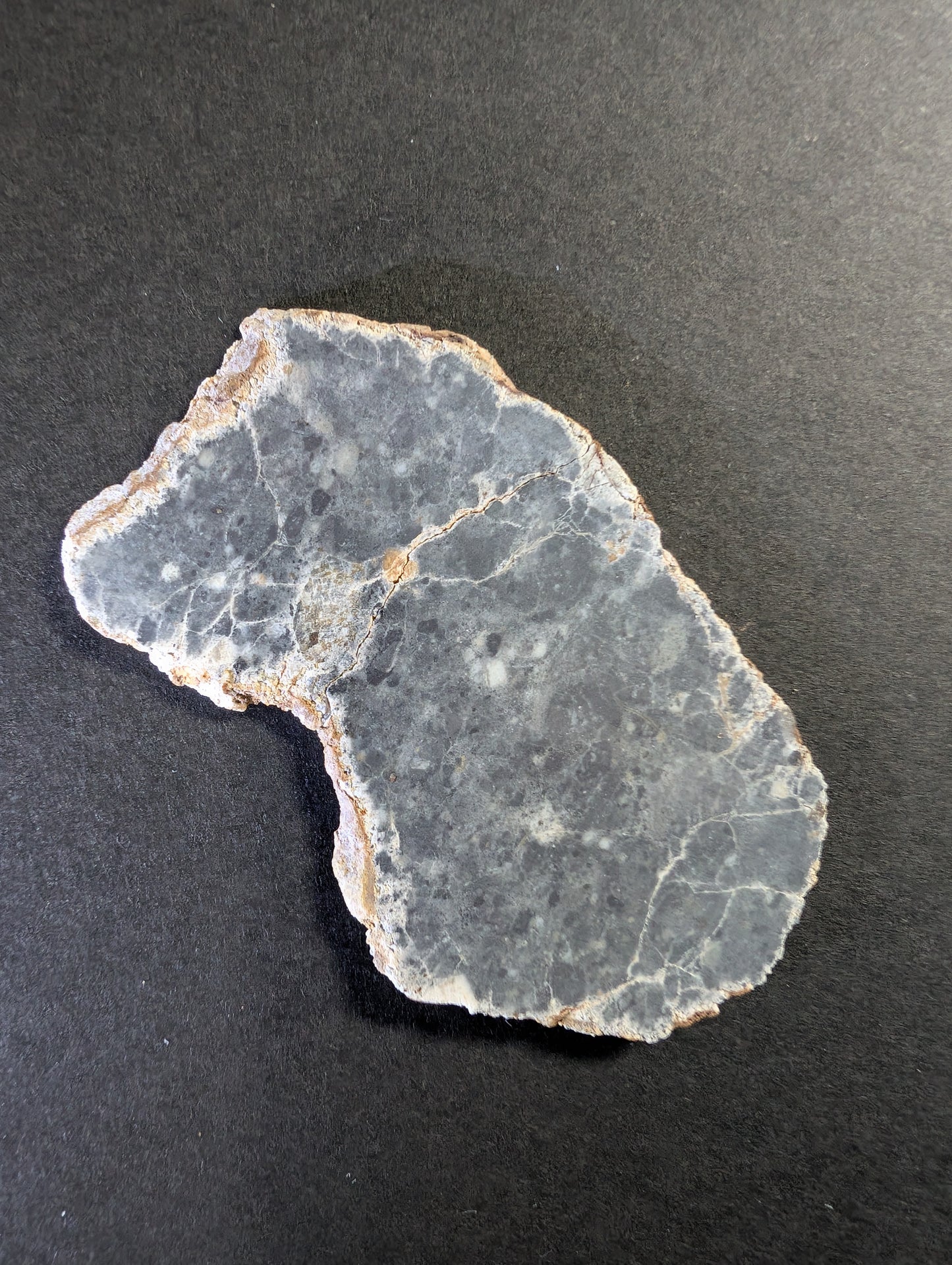 NWA 15018 Lunar meteorite slice (5.86g) - Official feldspathic breccia