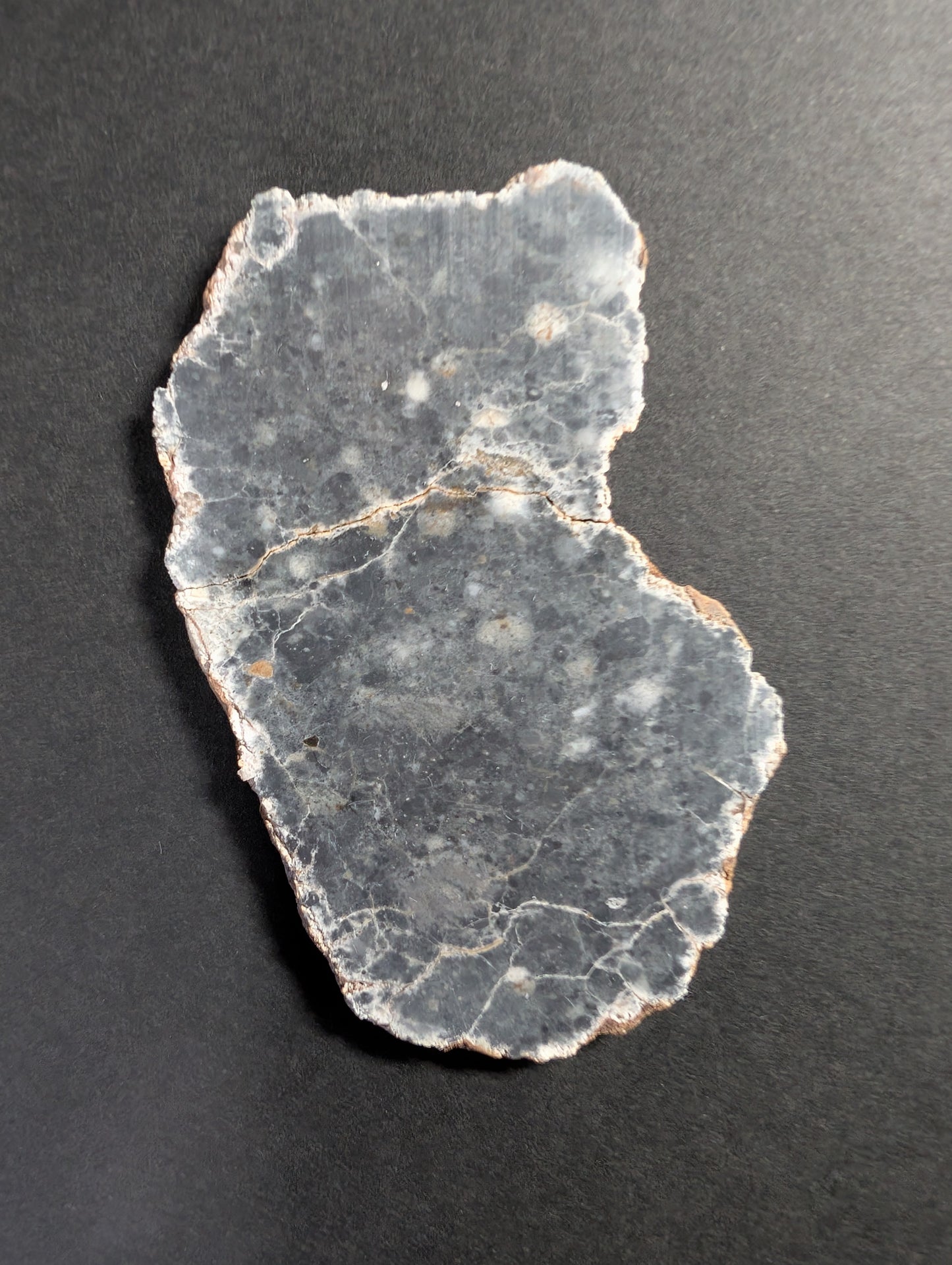 NWA 15018 Lunar meteorite slice (5.86g) - Official feldspathic breccia